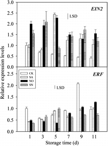 Figure 4 Expressions of EIN2 and ERF genes in mango fruit treated with pre- and postharvest SA and NO during storage at 25 °C for 11 days. The expression levels of each gene are expressed as a ratio relative to 1 day of control, which was set at 1. Each value represents the mean ± SE of three replicates.
