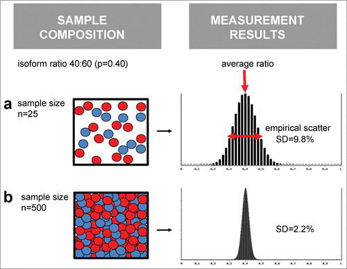 Figure 2. Sample size impacts on the reliability of isoform ratio measurements. Molecules of 2 isoform species (blue and red balls) exist in a given ratio, here 40:60%. Imagine that repeated isoform measurements are performed multiple times, using either a small sample size (row a, n = 30 molecules) or larger ample size (row b, n = 500 molecules). On average, the measured isoform ratio will reflect the real situation. But, the scatter of measurement results is significantly affected by the sample size.