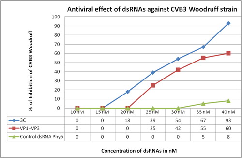 Figure 4. Antiviral effect of dsRNAs against Coxsackievirus B3.