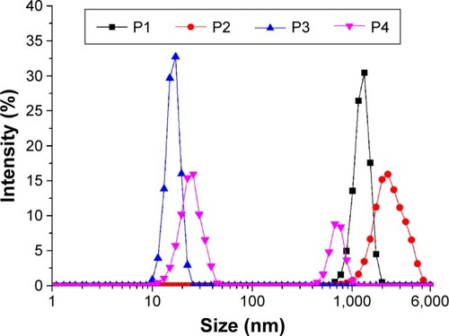 Figure 3 Size distribution of nanostructures formed by P1 (A), P2 (B), P3 (C), and P4 (D) as determined by DLS measurements.Notes: All the peptides were diluted to 0.05% wt/vol and sonicated for 15 min followed by standing at room temperature for 4 h before measurements.Abbreviations: DLS, dynamic light scattering; P1, RADAGVGVRADAGVGV; P2, RLDLGVGVRLDLGVGV; P3, RARAGVGVDADAGVGV; P4, RLRLGVGVD-LDLGVGV; wt/vol, weight/volume.