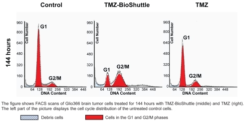 Figure 4 Cell cycle of Glio366 cells after application of TMZ and TMZ-BioShuttle.The figure shows FACS scans of Glio366 brain tumor cells treated for 144 hours with TMZ-BioShuttle (middle) and TMZ (right). The left part of the picture displays the cell cycle distribution of the untreated control cells.Debris cells Cells in the G1 and G2/M phases.