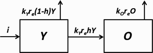 Figure 2. ICBM model showing soil carbon pools, fluxes and parameters. Y and O denote ‘young’ and ‘old’ pools, respectively (i: annual input; kY and kO: decomposition rate constants for Y and O, respectively; h: humification ratio; re: external rate multiplier). (Andrén & Kätterer Citation1997).