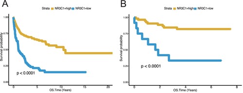 Figure 1. Low NR3C1 expression predicts worse overall survival of DLBCL in GSE10846 (n = 414) and GSE34171 (n = 68). A, OS in different NR3C1 expression groups of DLBCL in the GSE10846 dataset. Kaplan – Meier curves were used. OS, P < 0.0001, log-rank test. The X-axis represents the OS time (years), and the Y-axis represents survival probability. The yellow line represents the NR3C1-high group (n = 352), and the blue line represents the NR3C1-low group (n = 62). OS: overall survival rate. B, OS in different NR3C1 expression groups of DLBCL in the GSE34171 dataset. Kaplan – Meier curves were used. OS, P < 0.0001, log-rank test. The X-axis represents the OS time (years), and the Y-axis represents survival probability. The yellow line represents the NR3C1-high group (n = 56), and the blue line represents the NR3C1-low group (n = 12). OS: overall survival rate.