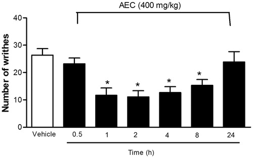 Figure 3. Time–response curve for the anti-nociceptive effect of the lyophilized aqueous extract obtained from C. icaco leaves (AEC; 400 mg/kg, p.o.) on acetic acid-induced writhing response in mice. Writhings were counted over 15 min following i.p. injection of acetic acid (0.8%). AEC (400 mg/kg, p.o.) was administered p.o. 0.5, 1, 2, 4, 8 or 24 h before acid acetic injection (0.8%). Control animals received an injection of vehicle by p.o. route. Each column represents mean ± SEM (n = 8, per group). *p < 0.05 versus control (ANOVA followed by Tukey’s test).