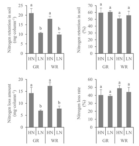 Figure 1. Soil nitrogen retention capacity under different nitrogen application rates and paddy-upland rotations.Notes: GR: soil from the long-term garlic-rice rotation, WR: soil from the long-term wheat-rice rotation, HN: high nitrogen application (76.8 mg urea column−1, equivalent to paddy applications of 180 kg N ha−1), LN: low nitrogen application (38.4 mg urea column-1, equivalent to paddy applications of 90 kg N ha−1). The different lowercases indicate significant difference of different treatments at 0.05 probability level according to LSD.