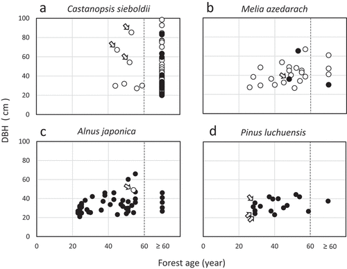 Figure 3. Relationship between estimated nest site forest age and nest tree diameter at breast height. White circles indicate live trees and black circles indicate dead trees. The arrows in Castanopsis sieboldii indicate trees estimated to have been left uncut during logging (a). The arrow in Melia azedarach indicates a girdled tree (b). The arrows in Alnus japonica (c) and Pinus luchuensis (d) indicate topped trees. Forest ages of the nest sites ≥ 60 years old are combined into one category