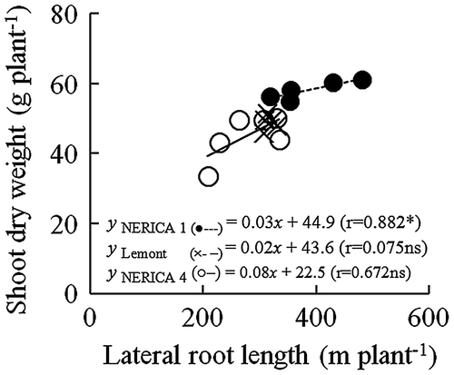Figure 6. Relationship between lateral root length and shoot dry weight in 11–18% v/v soil moisture content for NERICA 1 (●—), NERICA 4 (○), and Lemont (×) plants grown in a field with a line-source sprinkler system in Experiment 2 in 2011. Lateral root length and shoot dry weight were determined at 66 d after transplanting. *Indicates significance at p < 0.05.