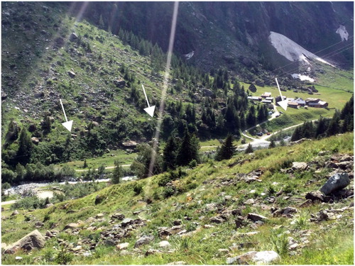 Figure 4. Erosion edge upstream of Brecholey that shows the probable maximum water level during the event (See Figure 2 for location).