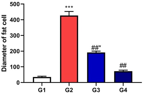 Figure 8. Diameter of fat cells of different groups expressed mean ± SD, * indicates significance in comparison with control group G1 and # indicates significance in comparison with diseased group G2, P < 0.05.