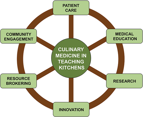 Figure 2 Culinary medicine in teaching kitchens as the “hub”. Culinary medicine in teaching kitchens, by its interprofessional and multidisciplinary nature, seamlessly integrates healthcare, academia, and public service. Patients, providers, community members, researchers, universities, insurance companies, and healthcare systems all benefit from this collaboration.