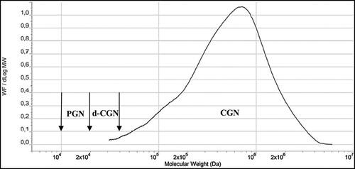 Figure 7. Molecular Weight (Mw) Profile of CGN, poligeenan (PGN) and d-CGN Mw definitions included (Concentration versus Log Mw). The graph above depicts the molecular weight profile of a sample of food grade carrageenan (CGN). Note that poligeenan (PGN) and degraded CGN are not part of the CGN profile. Figure used with permission from Blakemore et al. (Citation2014a) and modified.