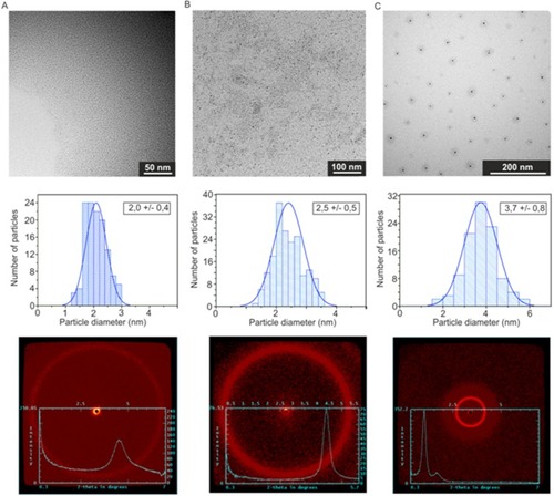 Figure 2 TEM images (top panel), histograms of NPs size distribution (middle panel), and SAXRD patterns (bottom panel): (A) AgNPs-GSH, (B) AgNPs-LA, (C) AgNPs-PEG 2000.Abbreviations: TEM, transmission electron microscopy; NPs, nanopaticles; SAXRD, small-angle X-ray diffraction; AgNPs, silver nanoparticles; GSH, glutathione; LA, lipoic acid.