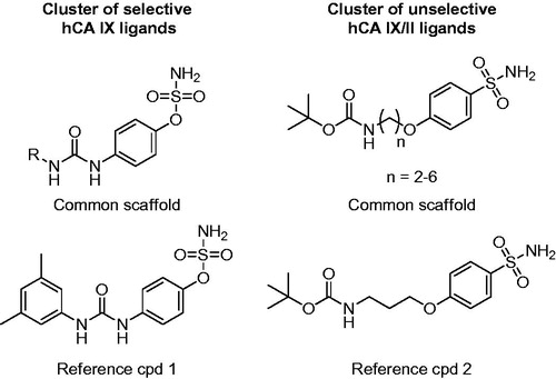 Figure 3. Representative clusters of selective hCA IX and unselective hCA IX/II ligands. The common scaffolds identified in these clusters are shown, together with a reference compound.