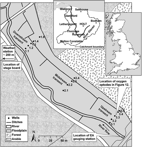 Fig. 1 The River Glaven restoration site at Hunworth, north Norfolk. The woodland and arable border along the northeast of the meadow delineates the base of a hillslope. Well 3.1 (upstream transect) was located on the river embankment; and Well 1.1 (downstream transect) behind the river embankment. The River Glaven catchment is shown inset, with the location of the study site at Hunworth.