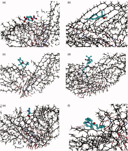 Figure 3. Interaction of the Cer NP assemblies with molecular models of ISDN (a), TER (b), TER-C4 (c), TER-C14 (d), NMP (e), and Azone (f). Carbon atoms were colored black, oxygen atoms red, nitrogen atoms blue, hydrogen atoms gray. These figures are screenshots of the Cer NP assemblies. H-bonds were presented in green dotted lines, hydrophobic interactions were presented in brown dotted lines.