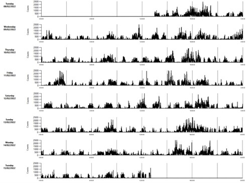 Figure 5. Example of an actogram of a lamb in the third week of life as rendered by ActiLife software (ActiGraph, LLC) (activity counts per 1-min intervals).