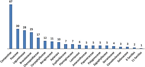 Figure 4. Graphical representation of angiosperm families according to the numbers of the species collected from Ar’ar–Northern Border region of Saudi Arabia.