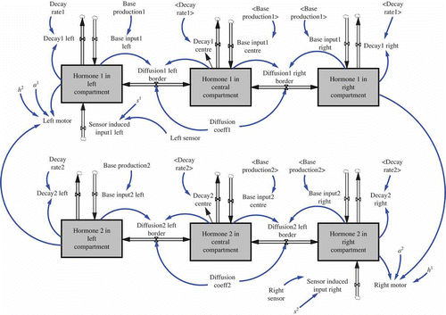 Figure 8. Stock-and-flow diagram of our enhanced AHHS controller. The model requires now six different stocks, because two hormones have to be modelled in the three compartments. There is a flow neither from the upper stock to the lower stocks, nor in the other direction. This is because hormones are never converted into other hormones in our AHHS. But, as described in the text, both hormones can modulate actuators in different directions simultaneously, as can be seen by the leftmost and by the rightmost thin arrow. Boxes indicate ‘stocks’, which can hold (and accumulate) quantities. Double arrows indicate flows, through which quantities can shift from one stock to another. The cloud-like symbols indicate sources and sinks, through which quantities can enter the system or leave the system. Thin arrows indicate causal relationships in the manner of ‘A affects B’.