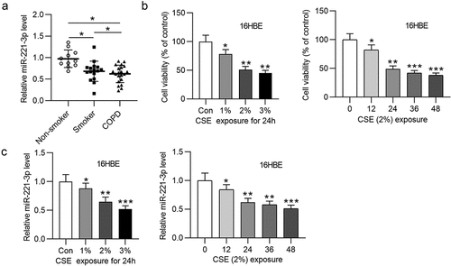 Figure 1. MiR-221-3p exhibits a low expression in COPD tissues and 16HBE cells. (a) MiR-221-3p levels in the tissues of nonsmokers (n = 11), smokers without COPD (n = 16) and smokers with COPD (n = 21) were detected by RT-qPCR. (b) The viability of 16HBE cells in response to different concentrations (0%, 1%, 2%, 3%) of CSE for 24 h (the left panel) or in response to 2% CSE for 0 h, 12 h, 24 h, 36 h, 48 h (the right panel) was detected by CCK-8. (c) MiR-221-3p levels in 16HBE cells by treatment of different concentrations (0%, 1%, 2%, 3%) of CSE for 24 h (the left panel) or by 2% CSE for 0 h, 12 h, 24 h, 36 h, 48 h (the right panel) was detected by RT-qPCR. *P < 0.05, **P < 0.01, ***P < 0.001