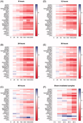 Figure 3. (A–E) Heatmaps showing the average of expression levels in seven donors (relative to control samples per time point, log2 transformed) for all the 25 genes (shown in rows) included in the qPCR arrays in response to exposure to different doses (shown in columns) at five time points. (F) Heatmap showing the relative expression levels in sham-irradiated samples from seven donors relative to sham-irradiated samples at 8 h for all the 25 genes (shown in rows) at five time points (shown in columns).