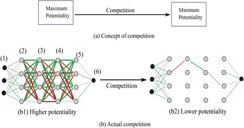 Figure 1. Transition from a state with the maximum potentiality to one with minimum potentiality.