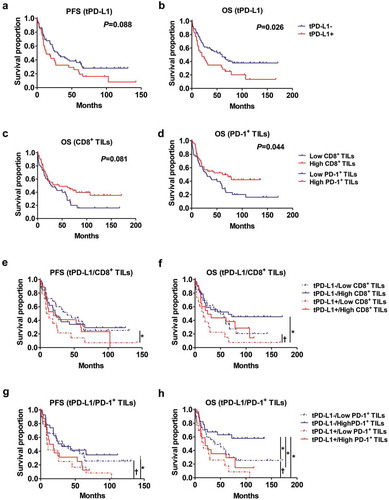 Figure 4. Prognostic significance of tPD-L1, CD8+ TILs, and PD-1+ TILs. Kaplan-Meier analysis of PFS and/or OS according to tPD-L1(tPD-L1-, n = 63; tPD-L1+ = 35) (a-b), CD8+ TILs (Low CD8+ TILs, n = 42; High CD8+ TILs, n = 54) (c), PD-1+ TILs (Low PD-1+ TILs, n = 44; High PD-1+ TILs, n = 46) (d), tPD-L1 plus CD8+ TILs (tPD-L1-/Low CD8+ TILs, n = 27; tPD-L1-/High CD8+ TILs, n = 34; tPD-L1+/Low CD8+ TILs, n = 15; tPD-L1+/High CD8+ TILs, n = 20) (e-f), and tPD-L1 plus PD-1+ TILs (tPD-L1-/Low PD-1+ TILs, n = 31; tPD-L1-/High PD-1+ TILs, n = 29; tPD-L1+/Low PD-1+ TILs, n = 13; tPD-L1+/High PD-1+ TILs, n = 17) (g-h). Differences in survival were analyzed by log-rank test. † P= .05–0.1, *P< .05.