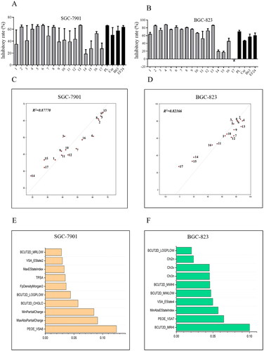 Figure 2. Anti-viability activities and quantitative structure–activity relationship (QSAR) analysis of 1,7-diphenyl hepta-1,4,6-trien-3-one analogs containing an o-methoxy phenyl group. Compounds inhibited the growth of cancer cells SGC-7901 (A) and BGC-823 (B). Cancer cells were treated with compounds (10 μM) for 72 h. The optical density values were measured using the MTT assay, and the resulting inhibitory rates were calculated. The QSAR model and the top 10 important features of compounds active against SGC-7901 (C and E) and BGC-823 (D and F) cells.