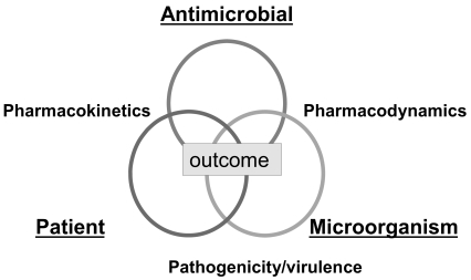 Figure 4 Factors affecting favorable outcomes during antimicrobial therapy.