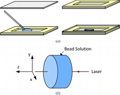 Figure 9 (a) Construction of the trapping chamber from two 0.17 mm thick microscope cover slips and a layer of Parafilm. (b) Spatial coordinate system within the trapping chamber. (Figure is provided in color online.).