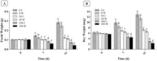 Figure 3. Effect of different concentrations of Cd (0、50、100µmol/L) on fresh weight (A) and dry weight (B) of B. campestris L. hairy roots. I: transgenic hairy root of IRT1 gene; W: wild-type hairy root. (The lowercase letters a-e represent the significant diffierence in the biomass of 7 d and 14 d under cadmium stress, different letters stands for statistically significant differences, same letters stands for no significant difference, p < 0.05)