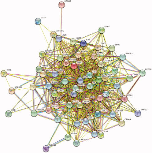 Figure 3. The PPI network of 57 intersection gene targets (colour indicates query proteins and first shell of interactors; filled nodes indicate some 3D structure is known or predicted; line thickness indicates the strength of data support).