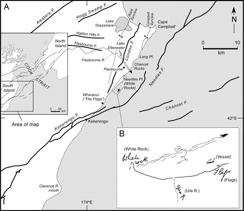 Figure 9 A, Map showing the northeast Marlborough coastal area with main onshore faults (Awatere, Hogg Swamp, Haldon Hills, Flaxbourne, London and Kekerengu) and offshore faults (Needles and Chancet), synclinal axes and locations mentioned in text. Arrowed solid line orientated southeast along the Flaxbourne River indicates line of sight from western side of Lake Elterwater to the coast mentioned in the text. B, Does Sir Charles Lyell's (Citation1856a) sketch of the coast from Needles Point (White Rock) to The Flags illustrate the direction of the wave generated during the aftershock of 3 February 1855 (see text for details)? Arrowed dotted line within area of Lyell's sketch map in A indicates approximate direction of the standing wave shown in B.