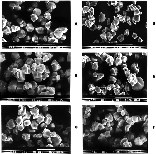 Figure 4 Scanning electron micrographs of starches from different rice cultivars (A: Sharbati; B: Bas-370; C: HKR-120; D: Jaya; E: HBC-19; and F: P-44).