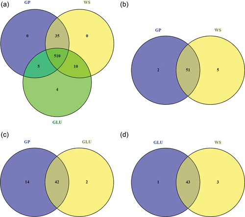 Figure 7. Venn diagrams of metabolites produced by Neofusicoccum parvum Bt-67 grown in minimal media with grapevine canes (GP), wheat straw (WS), or glucose (GLU) as carbon sources. A. Total number of metabolites in the three conditions. B–D. The number of significantly different metabolites between each pair of conditions: GP vs. WS, GP vs. GLU, and GLU vs. WS. Significantly different metabolites were determined by one-way ANOVA (FDR < 0.05). Overlapping numbers indicate metabolites commonly produced in the compared conditions.