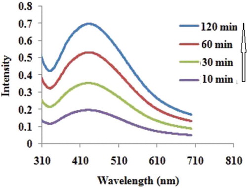 Figure 1. UV-Vis absorption spectra of the silver nanoparticles prepared via green synthesis method recorded after 10, 30, 60, and 120 min.