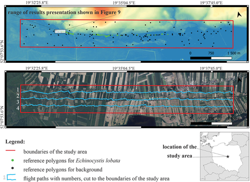 Figure 2. Location of the study area and distribution of the reference polygons (based on the Digital Terrain Model), highlighting planned flight paths in the study area (based on the RGB orthophoto map).