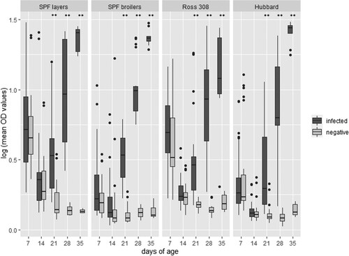 Figure 5. S. Infantis ELISA results (logarithmic transformation of mean OD values) of four different lines comparing infected (directly infected and in-contact birds) against negative birds (n = 25 birds on the first sampling day per breed with reduction of five birds per day). Significant differences between the two groups are marked with **P < 0.01.