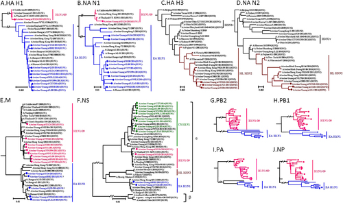 Fig. 1 Phylogenetic trees of the HA H1 (a), NA N1 (b), HA H3 (c), NA N2 (d), M (e), NS (f), PB2 (g), PB1 (h), PA (i), and NP (j) genes of the H1N1 and H3N2 influenza lineages. The unrooted trees were generated with the MEGA 7.0 program by using neighbor-joining analysis and reliability of the tree was assessed by bootstrap analysis with 1000 replications. Neighbor-joining bootstrap values ≥70 are shown at the major branches of the trees. The 12 trees were rooted to A/Brevig_Mission/1/18(H1N1). Viruses shown in black were downloaded from available databases. The isolates in our study were marked in different color, consistent with Fig. 2