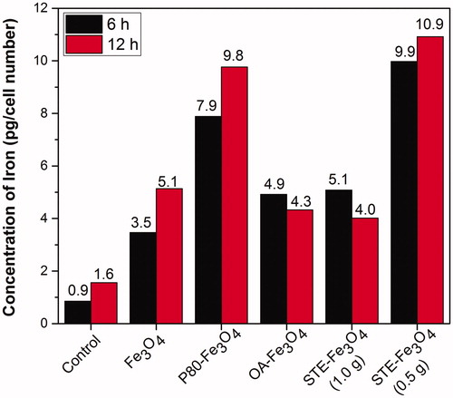 Figure 6. Quantitative analysis of MNP uptake by C6 glioma cells by ICP-AES after 6 and 12 h of treatment with the nanoparticles.