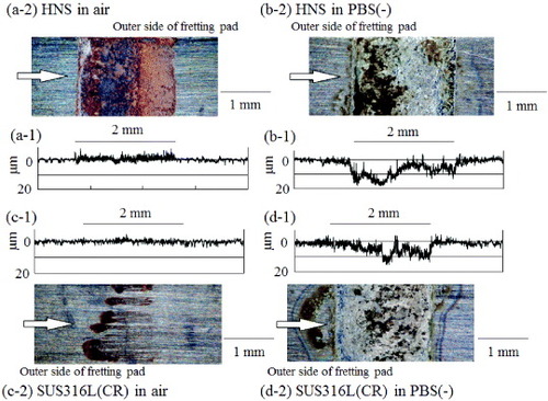 Figure 7. Cross-sectional profiles and the corresponding optical micrographs of the fretted surface of HNS (a), (b) and SUS316L(CR) (c), (d). (a) In air, σa = 265 MPa, Nf = 1.32 × 107; (b) in PBS(-), σa = 235 MPa, Nf = 1.07 × 107; (c) in air, σa = 177 MPa, Nf = 1.20 × 107; (d) in PBS(-), σa = 193 MPa, Nf = 1.30 × 107. Arrows in the optical micrographs indicate the profile measurement direction.