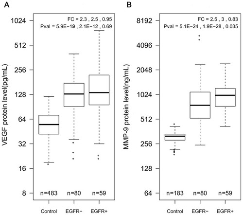Figure 1 Boxplots of serum VEGF and MMP-9 in healthy controls, EGFR-negative patients, and EGFR-positive patients. (A) Serum VEGF concentration in three different groups. (B) Serum MMP-9 concentration in three different groups. Fold change and P-values are listed in the order of control vs EGFR-positive patients, and EGFR-negative patients vs EGFR-positive patients.