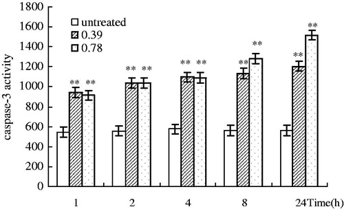 Figure 3. Effect of ardisiphenol D on the enzymatic activity of caspase-3. A549 cells were treated with 0, 0.39, and 0.78 μM of ardisiphenol D for 1, 2, 4, 8, and 24 h. The activity of caspase-3 in A549 cells was measured by using a caspase enzyme activity assay kit. Values are expressed as mean ± SE for three independent experiments, in which each measurement was performed in triplicate. **p < 0.01 versus untreated control group.