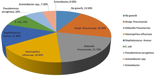 Figure 2 Distribution of bacterial organisms in small airways in patients with COPD exacerbation.