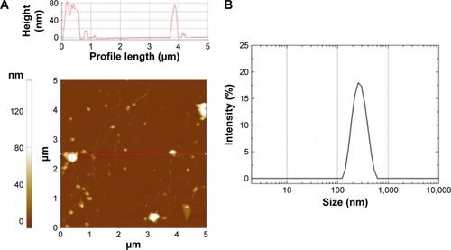 Figure 1 Characterization of DNPs by AFM and DLS.Note: (A) AFM image of DNPs deposited on silicon and corresponding height measurement and (B) size distribution of DNPs in water (pH =7), analyzed by DLS.Abbreviations: DNPs, diatomite nanoparticles; AFM, atomic force microscopy; DLS, dynamic light scattering.