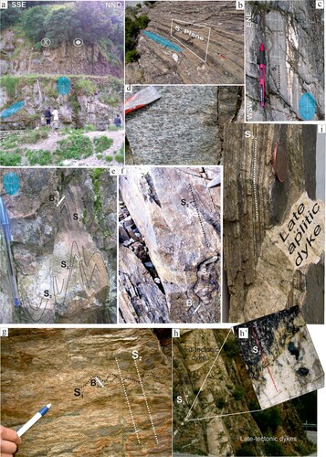 Figure 3. Field examples of lithotypes and structures from Mammola Paragneiss Complex. (a) Example of subvertical mylonitic foliation reporting finite strain ellipsoid sections with indication of the dextral shear sense (White circle on the upper left side indicates an inward movement relative to the observer. White circle on the upper right side indicates an outward movement relative to the observer). (b) Example of late-S3 mylonitic foliation. (c) Sin-kinematic asymmetric intrafoliar fold showing dextral shear sense consistent with an ENE tectonic transport. Cutting according to the XZ ellipsoid section. (d) Mylonitic amphibolite levels (Monte Bruverello area). (e) Longitudinal oblique folds sections. Cutting according to the YZ ellipsoid section (B3 is the axis of the oblique folding generated during the strike-slip movement. S3 is the mylonitic field-foliation). (f) Axial plane foliation preserved within a relic of isoclinal folding (S1 is the relic axial plane foliation preserved as low-strain domain within the S3 mylonitic field-foliation. B1 is the axis of the isoclinal folding event produced during the first recognized deformational phase D1). (g) Sub-perpendicular foliation produced by a centimeter wavelength crenulation in micaschist levels (B2 stay for wavelength centimeter axis produced during the D2 event. See text for more explanation). (h) Post-tectonic paraconcordant dyke and late-tectonic dyke characterized by supra-solidus deformative structures (h′’). (i) Discordant post-tectonic aplitic dyke.