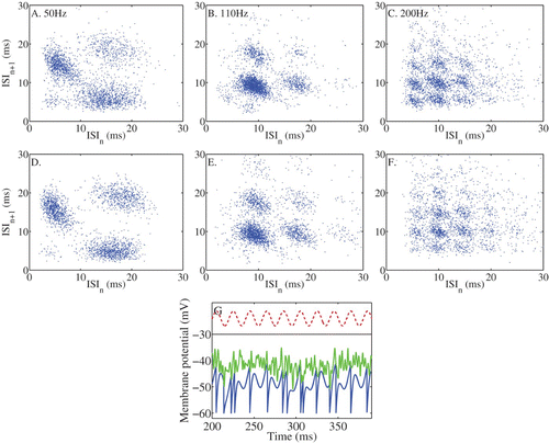 Figure 9. A-C. ISI scattergrams of the responses of a VCN chopper unit to amplitude modulated tones. The tone was 3 s long, with a frequency the same as the characteristic frequency of the unit, 50 dB above the CF threshold. AM depth was 100% and frequency was as indicated. D-F. The responses of a stochastic-threshold IF model fitted to the data. The model parameters were: sinuisodal input: a=0.7, I 0=1.5 mV, threshold noise: σ=2.7, η=0.75 ms, IF parameters: τ=3.18 ms, V L=V R=−60 mV, V th=−42 mV. G. An example of the evolution of the membrane potential of the model (blue) for the 50 Hz modulation rate, the stochastic threshold (green) and the modulated input on an arbitrary scale.