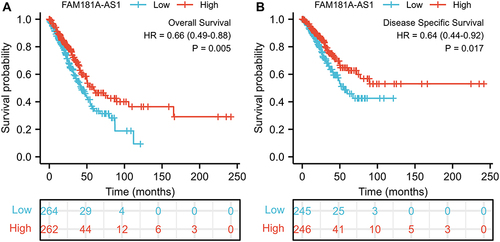 Figure 2 Low expression of FAM181A-AS1 is associated with poor OS and DSS in LUAD patients. (A) Kaplan–Meier curves and number at risk of OS in LUAD patients. (B) Kaplan–Meier curves and number at risk of DSS in LUAD patients.