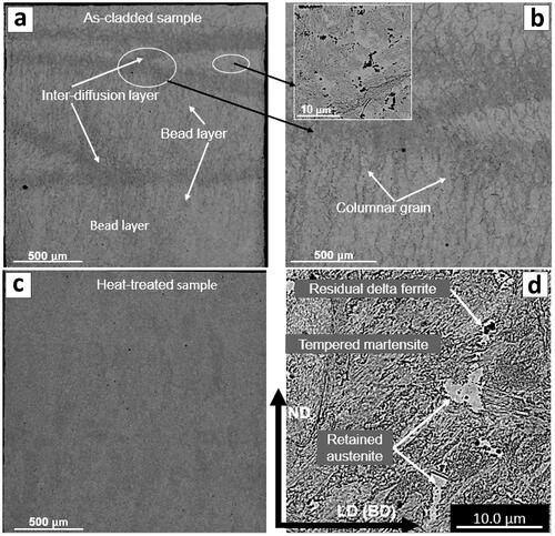 Figure 36. Cross-sectional SEM micrographs of (a) as-built, and (b) heat-treated samples, and (c, d) higher magnifications of Figure 36(b) (etched by ralph reagent) (Reproduced with permission from[Citation260]).