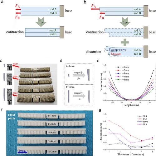 Figure 4. Distortion caused by inconsistent shrinkage. a Consistent shrinkage causes no distortion. b Inconsistent shrinkage drives the distortion. c Edges of SLM parts with various arm thicknesses, showing the inconsistent shrinkage of these parts. d Comparison of the edges (inconsistent shrinkage) of SLM parts (t=1 mm and t=5 mm) when the arm thicknesses are the same. e Inconsistent shrinkage of various arm thicknesses built by SLM causes various distortions. f Distortion of FDM parts with various arm thicknesses. The arm length is 30 mm, and the arm width is 15 mm. g The distortions change with arm thicknesses built by SLA, FDM, DLP, and SLS.