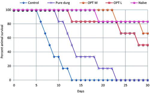 Figure 6. Kaplan–Meier curves for percent survival of different animal groups indicating significantly lower (p < 0.001) mortality for OPT L and OPT M viz-à-viz pure drug. (OPT M: optimized MCT-SNEDDS; OPT L: optimized LCT-SNEDDS).